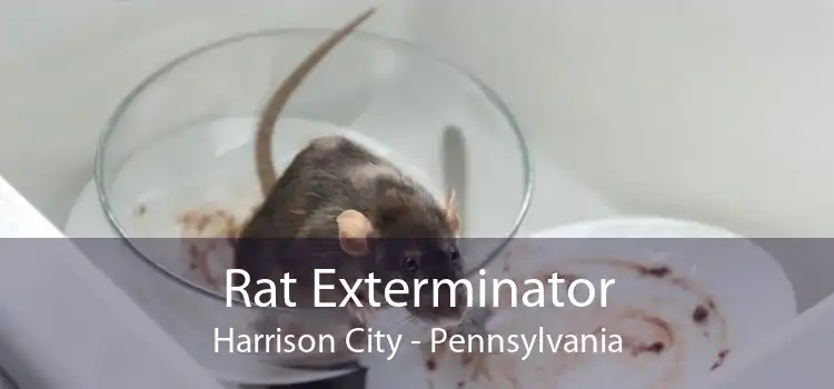 Rat Exterminator Harrison City - Pennsylvania