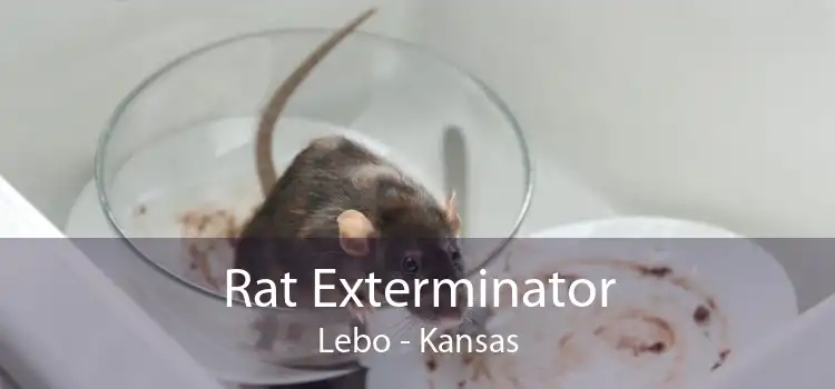 Rat Exterminator Lebo - Kansas