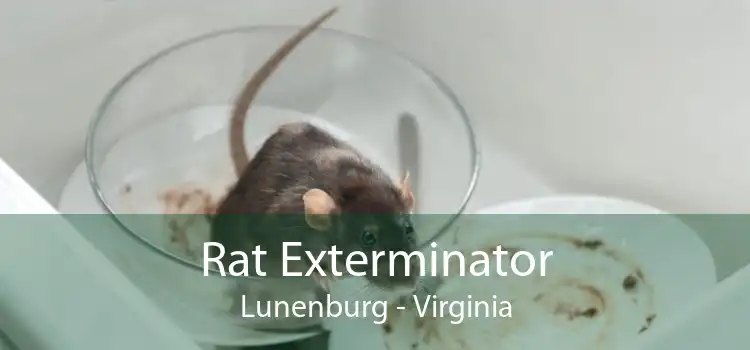 Rat Exterminator Lunenburg - Virginia