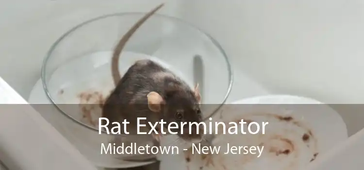 Rat Exterminator Middletown - New Jersey