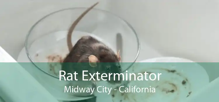 Rat Exterminator Midway City - California