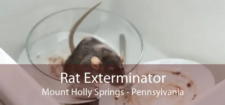 Rat Exterminator Mount Holly Springs - Pennsylvania