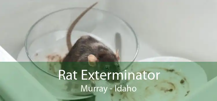 Rat Exterminator Murray - Idaho