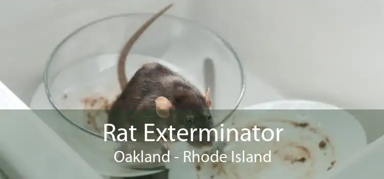 Rat Exterminator Oakland - Rhode Island