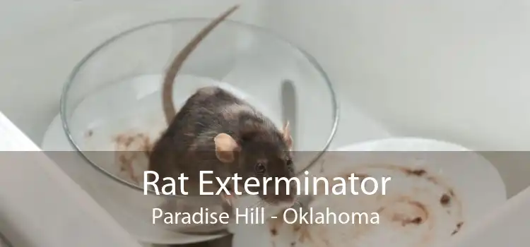 Rat Exterminator Paradise Hill - Oklahoma