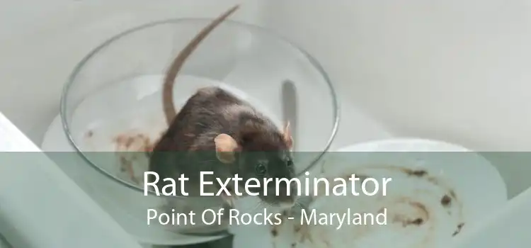 Rat Exterminator Point Of Rocks - Maryland