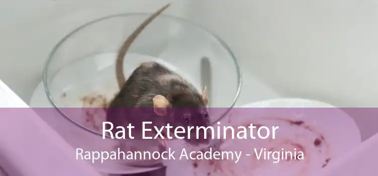 Rat Exterminator Rappahannock Academy - Virginia
