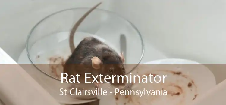 Rat Exterminator St Clairsville - Pennsylvania