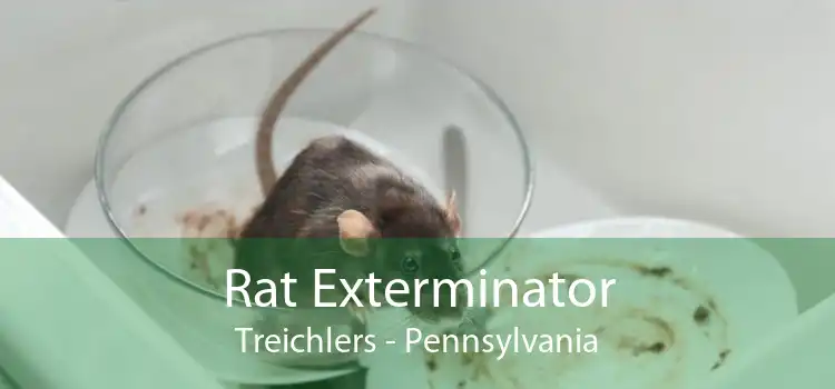 Rat Exterminator Treichlers - Pennsylvania