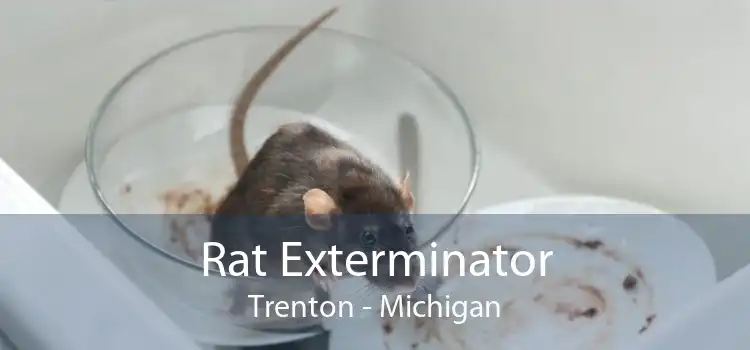 Rat Exterminator Trenton - Michigan