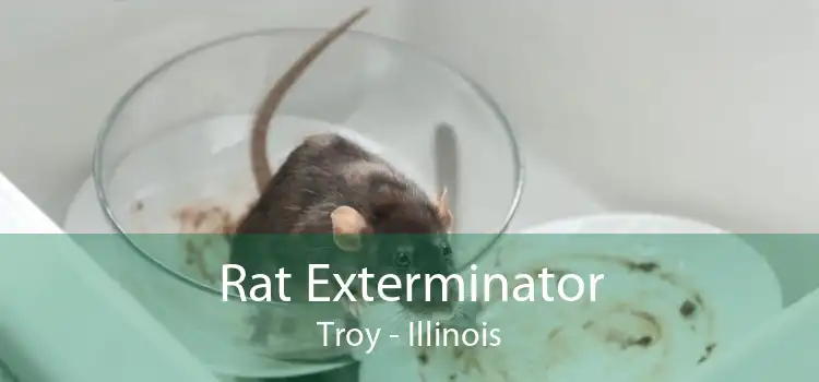 Rat Exterminator Troy - Illinois