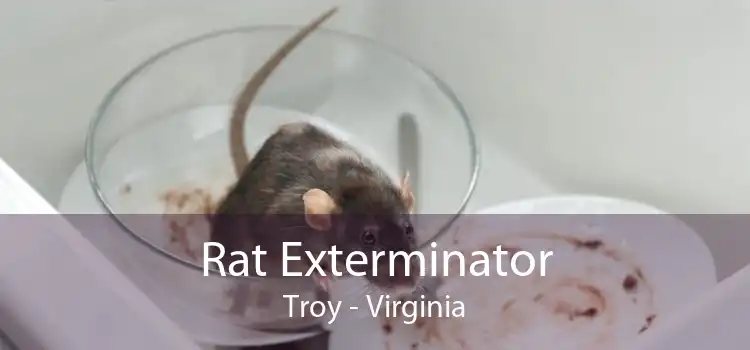Rat Exterminator Troy - Virginia