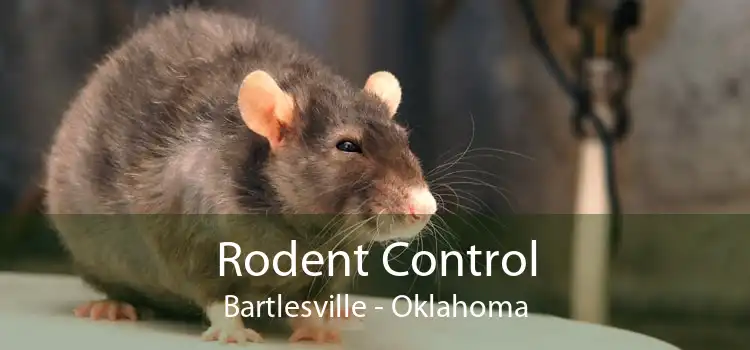 Rodent Control Bartlesville - Oklahoma