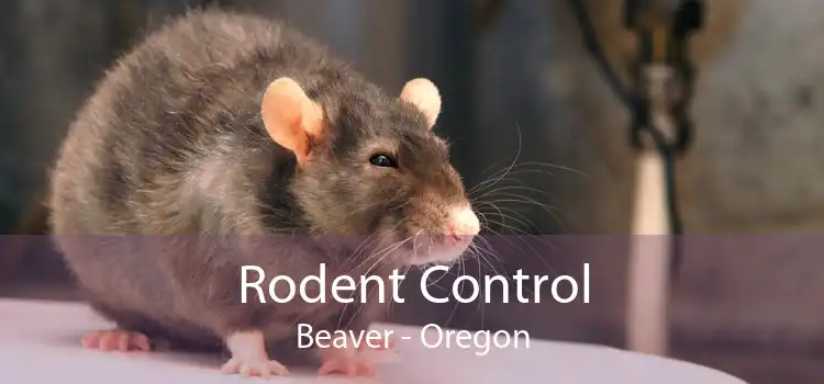 Rodent Control Beaver - Oregon