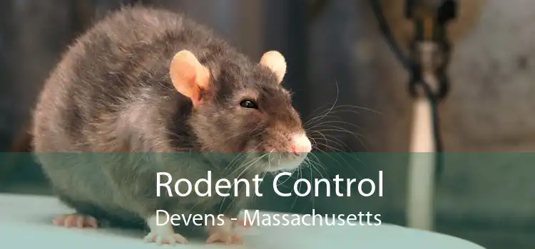 Rodent Control Devens - Massachusetts