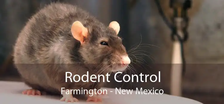 Rodent Control Farmington - New Mexico