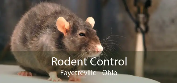 Rodent Control Fayetteville - Ohio