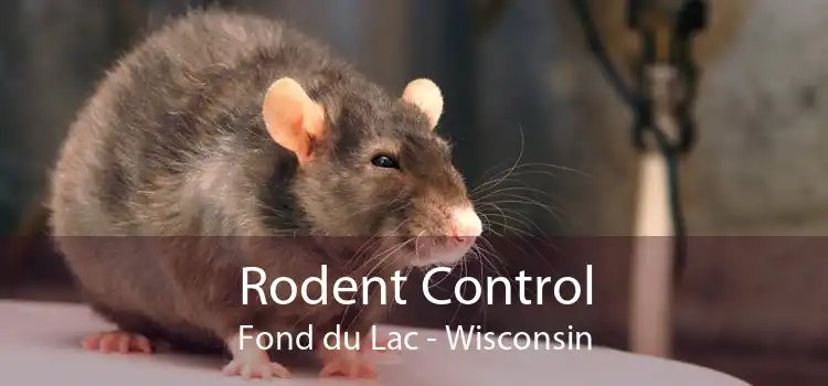 Rodent Control Fond du Lac - Wisconsin