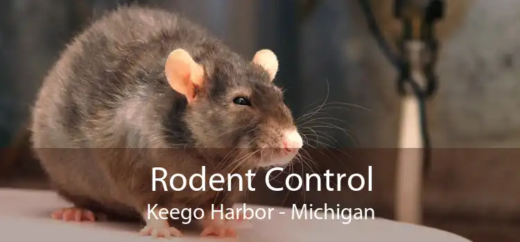 Rodent Control Keego Harbor - Michigan