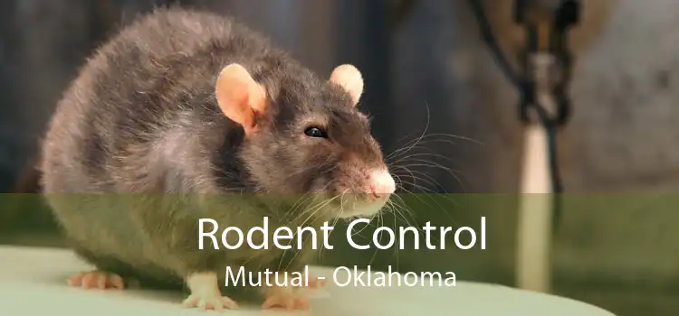 Rodent Control Mutual - Oklahoma