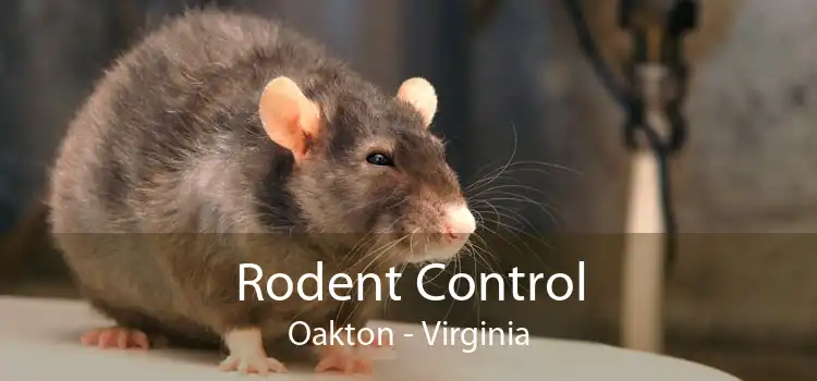 Rodent Control Oakton - Virginia