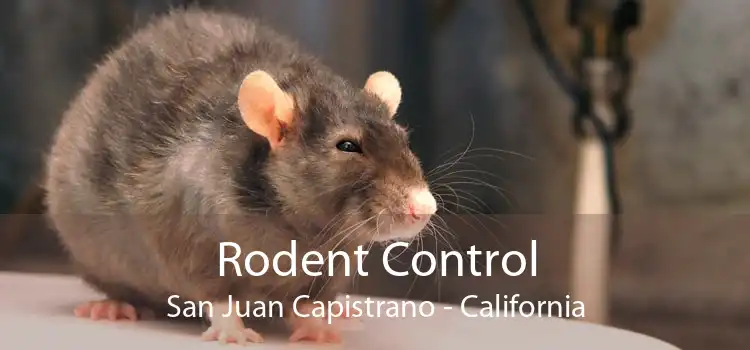 Rodent Control San Juan Capistrano - California