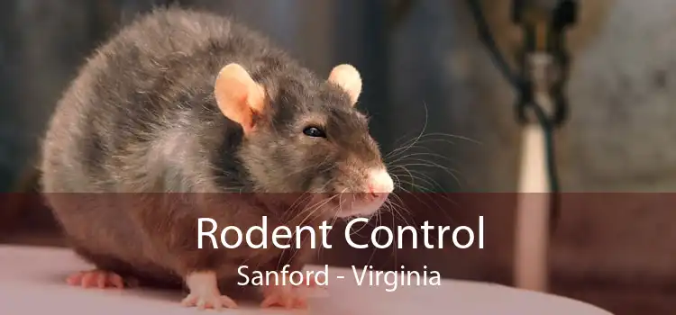 Rodent Control Sanford - Virginia