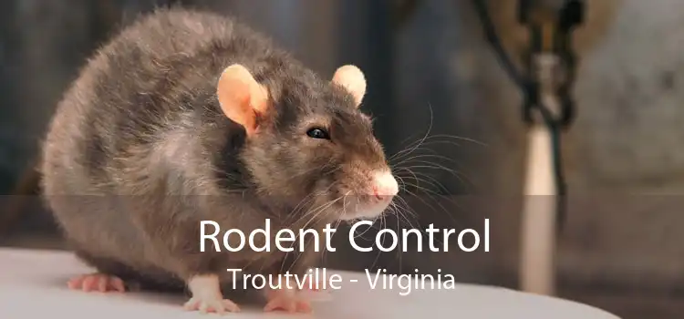 Rodent Control Troutville - Virginia