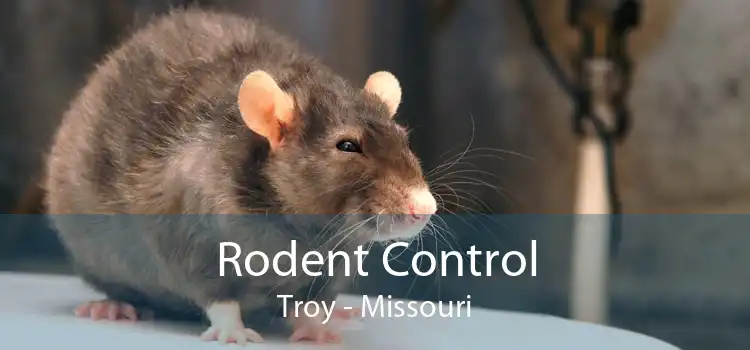 Rodent Control Troy - Missouri