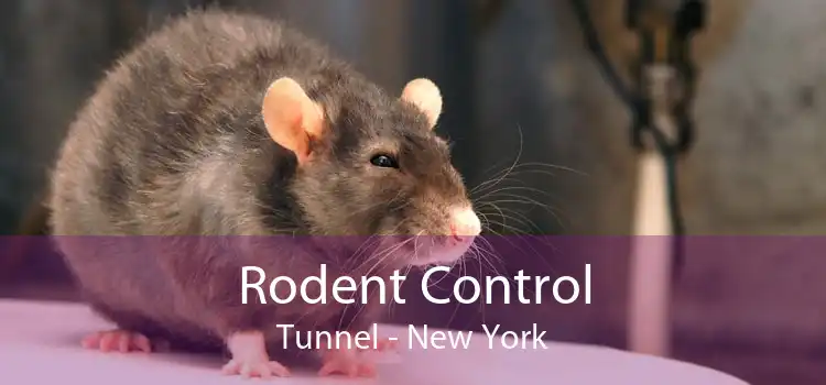 Rodent Control Tunnel - New York