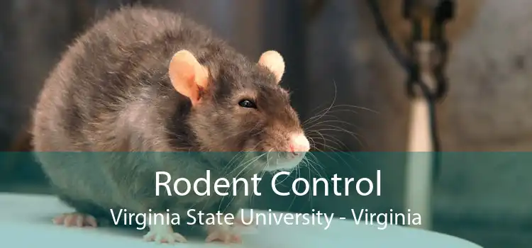 Rodent Control Virginia State University - Virginia