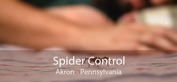 Spider Control Akron - Pennsylvania