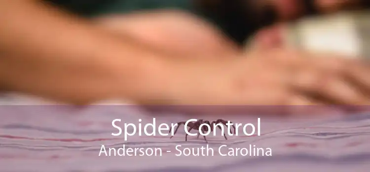 Spider Control Anderson - South Carolina