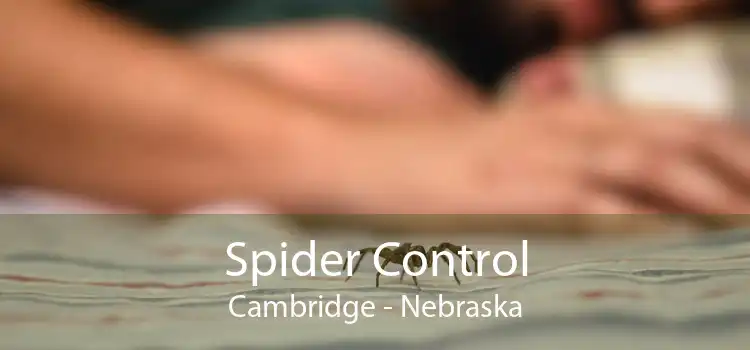 Spider Control Cambridge - Nebraska