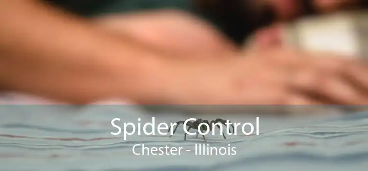 Spider Control Chester - Illinois
