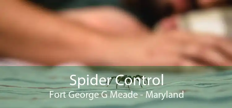 Spider Control Fort George G Meade - Maryland