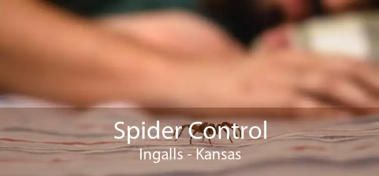 Spider Control Ingalls - Kansas