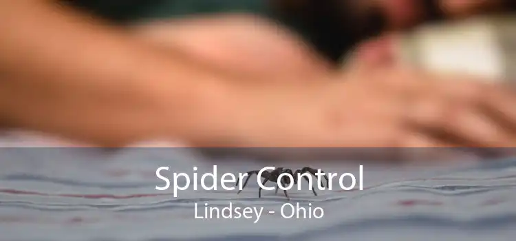 Spider Control Lindsey - Ohio