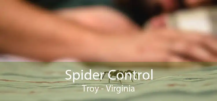 Spider Control Troy - Virginia