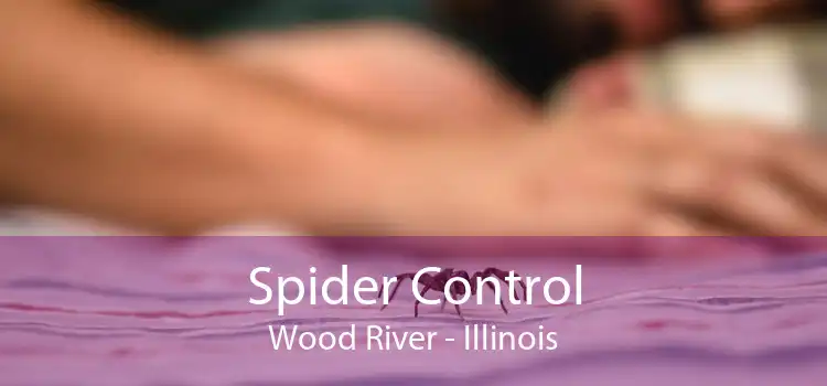 Spider Control Wood River - Illinois