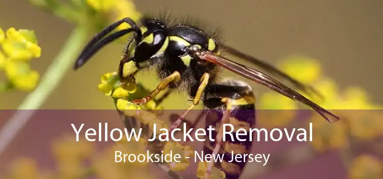 Yellow Jacket Removal Brookside - New Jersey