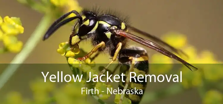 Yellow Jacket Removal Firth - Nebraska