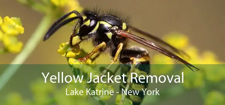 Yellow Jacket Removal Lake Katrine - New York