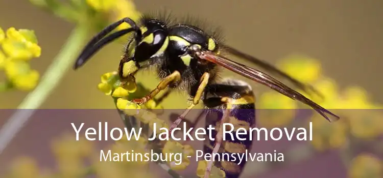 Yellow Jacket Removal Martinsburg - Pennsylvania