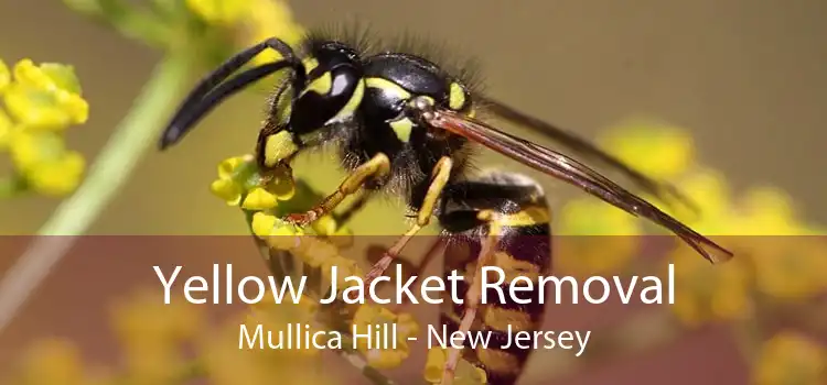 Yellow Jacket Removal Mullica Hill - New Jersey