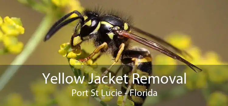 Yellow Jacket Removal Port St Lucie - Florida