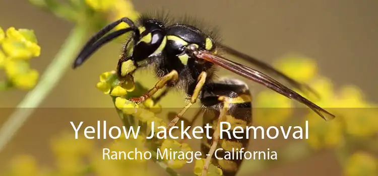 Yellow Jacket Removal Rancho Mirage - California