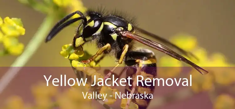 Yellow Jacket Removal Valley - Nebraska