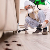 Cheap Roach Exterminator in Valley View, PA
