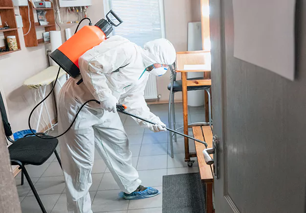 Roach Exterminator Cost